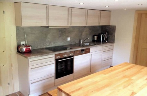 Silenen Apartment | Cozy Vacation Apartment at Golzernalp in Maderanertal
