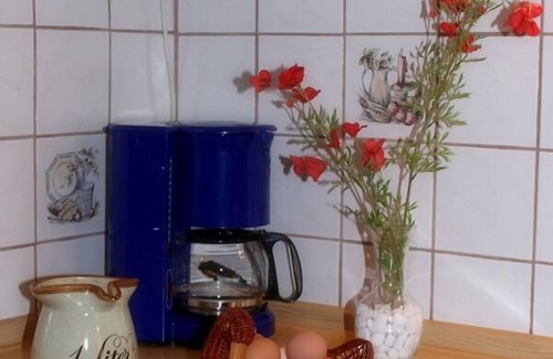 Arrach Apartment | Cozy Vacation Apartment with Rooftop Terrace & Breakfast