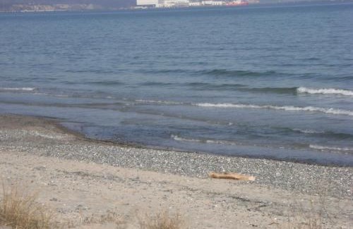 Sassnitz Apartment | Cozy Fewo Sonnenuntergang W - Family-Friendly Retreat