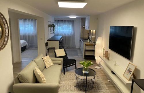 Bollendorf Apartment | Modern Holiday Apartment Near Trier & Luxembourg - Family Friendly