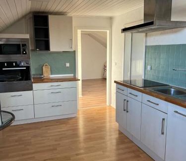 Leimersheim Apartment | Renovated Monteur/Ferienwohnung with Family & Pet Amenities