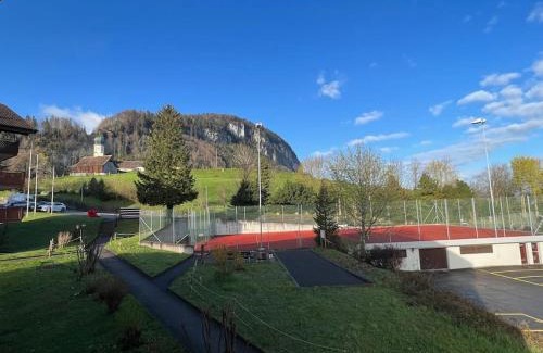 Seelisberg Apartment | Cozy Apartment in Seelisberg - Family-Friendly Retreat