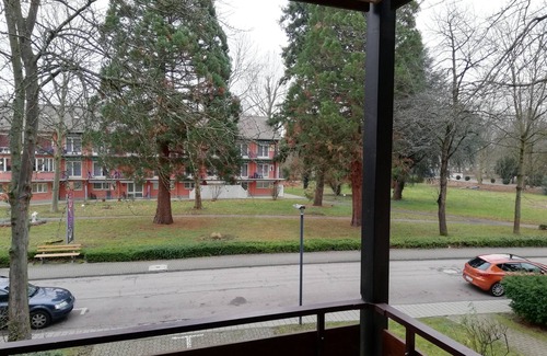 Bad Krozingen House | Cozy 1-Bedroom Apartment with Balcony and Breakfast