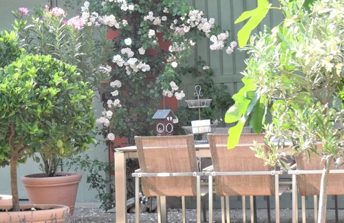 Nordheim a. Main Apartment | Cozy 1-Bedroom Apartment with Kitchenette and Breakfast