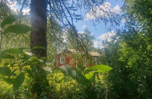 Ramsele Apartment | Serene Retreat Surrounded by Breathtaking Nature