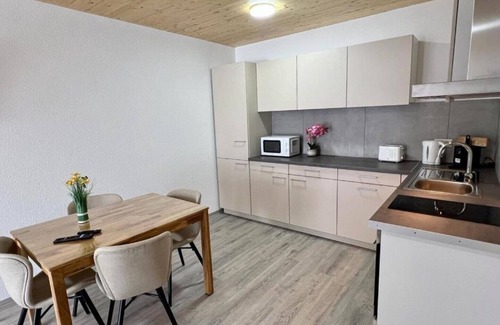 Gottmadingen Apartment | Cozy GrenzApartment with Expansive Rooftop Terrace