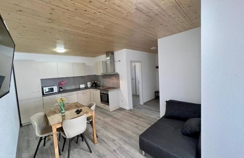 Gottmadingen Apartment | Cozy GrenzApartment with Expansive Rooftop Terrace