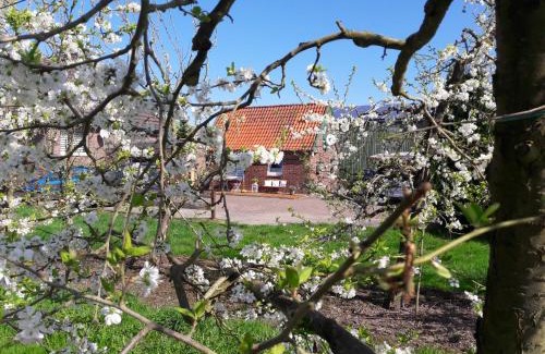 Jork House | Cozy Hideaway in Altes Land - Perfect for Families!