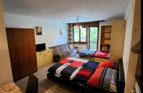 Inden Apartment | Pet-Friendly Gemmi Apartment in Inden Leukerbad, 8/10 Rating