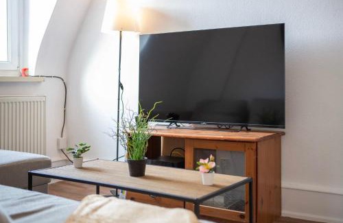 Mulhouse Apartment | Spacious 3-Bedroom Retreat in Downtown - Dodo et Tartine