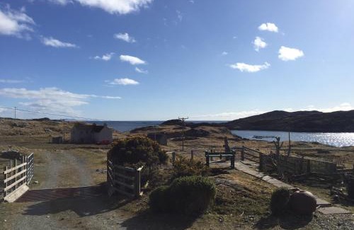 Flodabay House | Pet Friendly Retreat at George's House - 9.5/10 Rated Stay