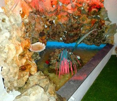Sitia House | Georgia's garden 1