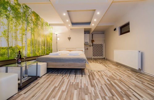 Brasov House | Inviting Geppetto's Apartment in Beautiful Brasov