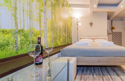 Brasov House | Inviting Geppetto's Apartment in Beautiful Brasov