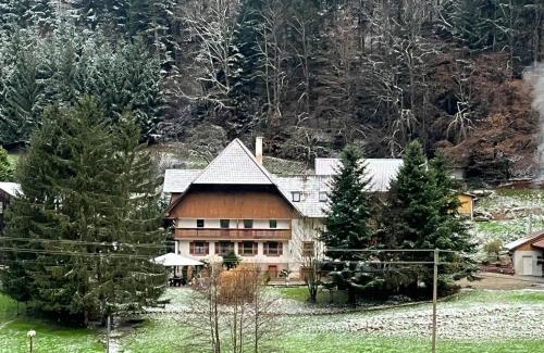 Seelbach Apartment | Spacious Forest Retreat with Family & Pet-Friendly Amenities