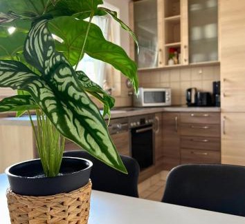 Wuerzburg Apartment | Family-Friendly City Apartment with Garage and Balcony