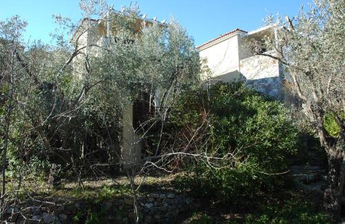Gera House | Cozy Gera's Olive Grove: Family-Friendly Oceanfront Retreat