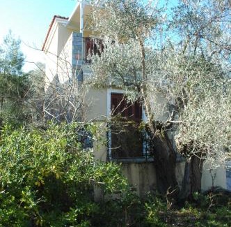 Gera House | Cozy Gera's Olive Grove: Family-Friendly Oceanfront Retreat