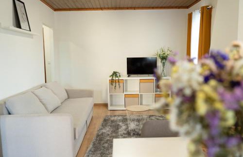 Vieira do Minho Apartment | Geres Andorinhas House