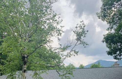 Wilmington Ski Chalet | Get away from it all at Nature’s Nest