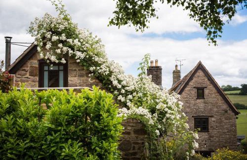 Cinderford House | Gathering Bliss: Perfect Function Room for Memorable Events