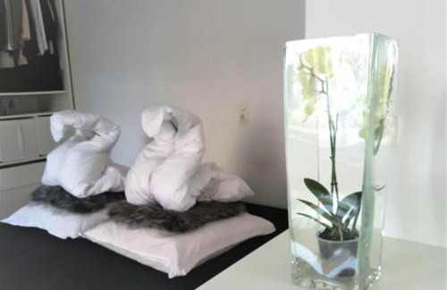 Ruhrallee West Apartment | Pet-Friendly Tiny Flat in Kreuzviertel - Rated 9/10