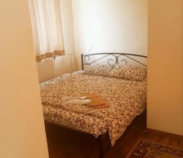 Dobrovelychkivka Apartment | GGG FLAT a