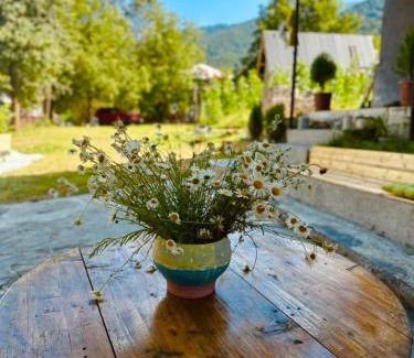Racha-Lechkhumi and Lower Svaneti House | Ghebi Inn: Guest Rated 10/10 & Family-Friendly Stays