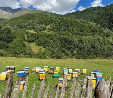 Racha-Lechkhumi and Lower Svaneti House | Ghebi Inn: Guest Rated 10/10 & Family-Friendly Stays