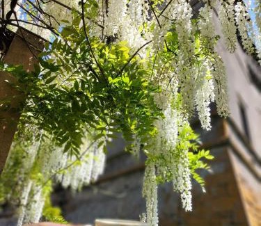 Vignanello Apartment | Giamevi House: Pet-Friendly Stay with Hot Tub & Breakfast