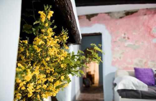 Vignanello Apartment | Giamevi House: Pet-Friendly Stay with Hot Tub & Breakfast