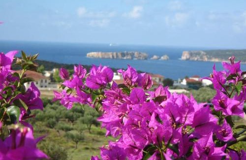 Pylos House | Gianna's Guesthouse: Pet-Friendly Retreat with Top Ratings