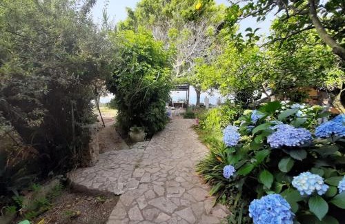 Procida House | GIARDINO BLU OLTREMARE - exlusive garden
