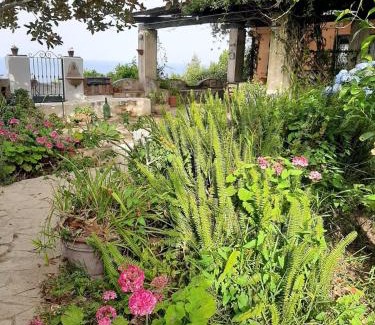 Procida House | GIARDINO BLU OLTREMARE - exlusive garden