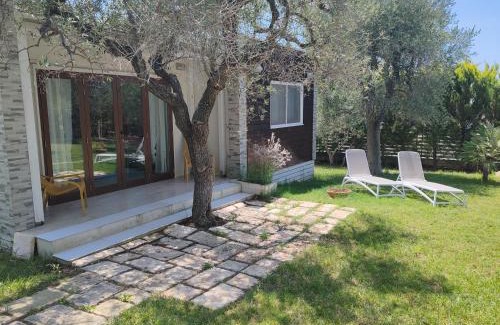 Mattinata House | Experience Giardino Don Berardino: Pet-Friendly Retreat