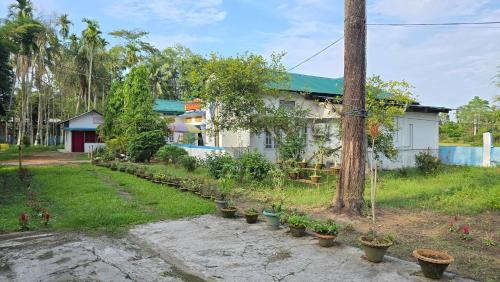 Jorhat House | Gibbon Homestay
