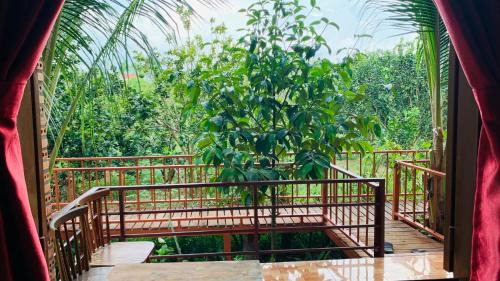 Quan Tom House | Gibbon Singing Home Stay: Family-Friendly Comfort Awaits