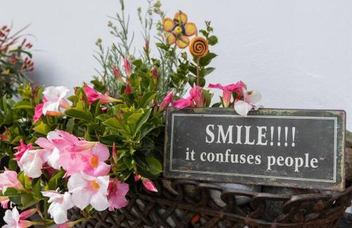 Trins Apartment | Oceanfront Gidnhof: Guest Rated 9.4 with Delicious Breakfast