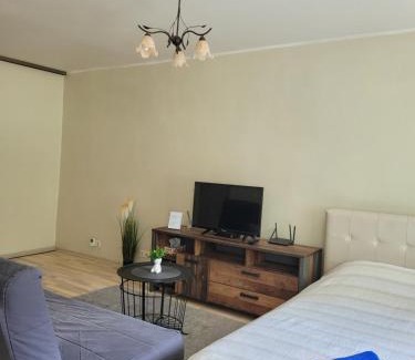 Kaunas Apartment | Cozy Linkuvos Apartments with Separate Entrance for Families