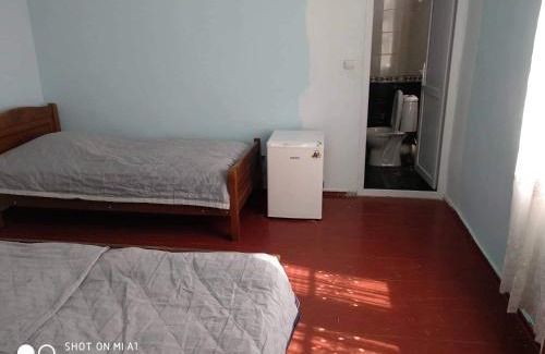 Mtsvane Kontskhi House | Budget-Friendly Stay at Giga Guest House with Kitchen Access