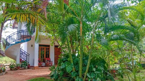 Sigiriya House | Budget-Friendly Stay at Gimhana Homestay with Breakfast