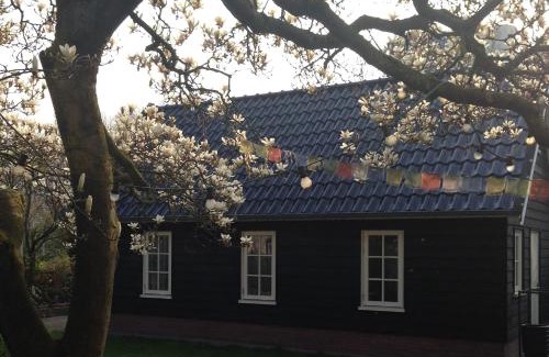 Sloterdijk Bed & Breakfast | Experience Gina's Garden House: Family-Friendly Retreat