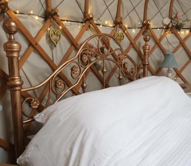 East Dereham Other | Experience Gingerbread Cottage Yurts: Eco-Friendly Retreat