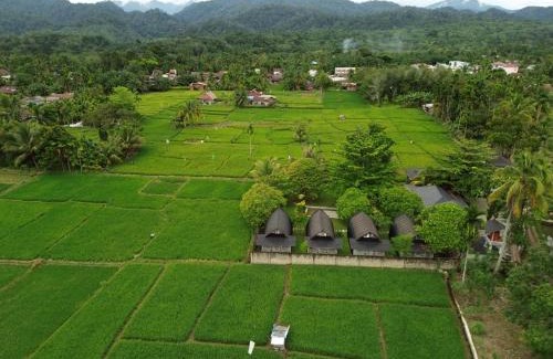 Bohorok Resort | Gino's Place - Family-Friendly Guest House & Jungle Adventures