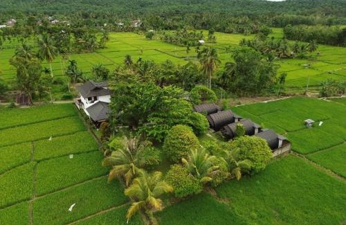 Bohorok Resort | Gino's Place - Family-Friendly Guest House & Jungle Adventures