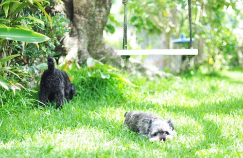 Ginowan House | Experience the Serenity at Ginowan-shi Foreigner House