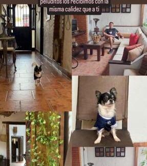 Bucaramanga Hotel | Giron Chill Out Hotel Boutique: Guest Rated 9/10, Pet Friendly