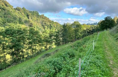 Gez-ez-Angles Ski Chalet | Guest Rated 9.8: Child-Friendly Gite à la Ferme Escape