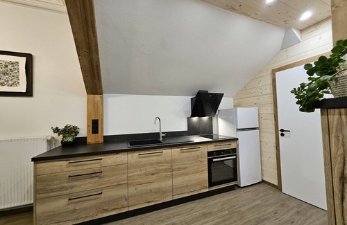 Ventron Apartment | Relaxing Spa Retreat: Gite "Bleuet" Loft for 2 to 6 Guests