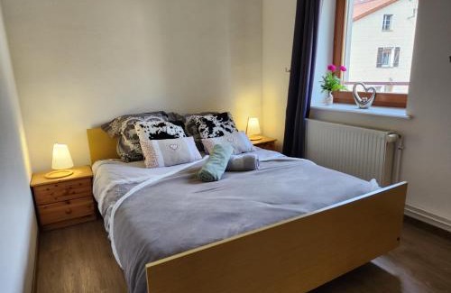 Ventron Apartment | Relaxing Gite Bruyère with Spa & Hot Tub Near the Buis